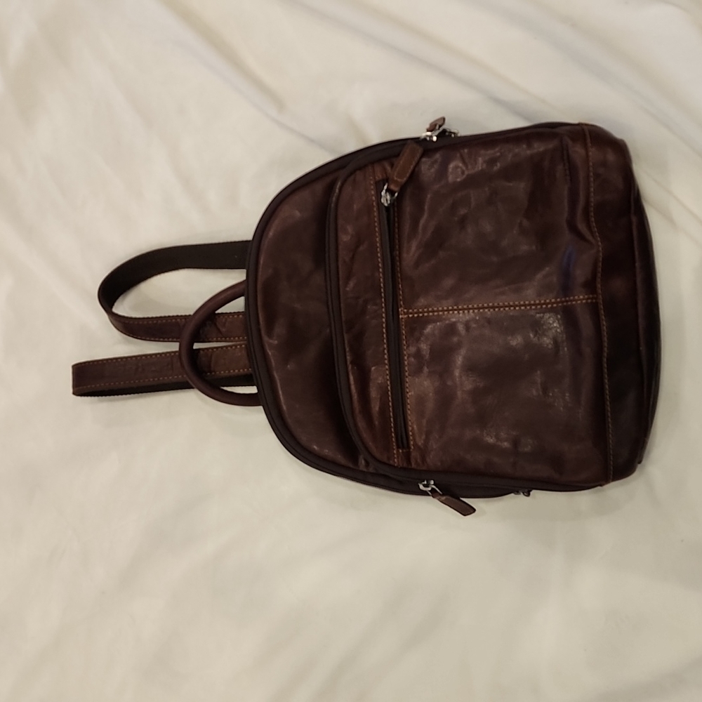 Beautiful leather purse/backpack